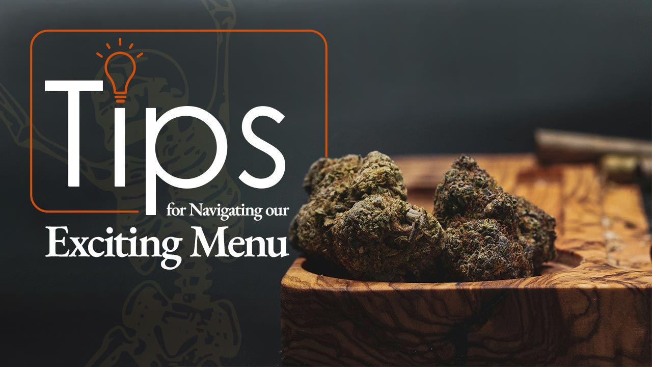 Tips for Navigating Stella Bloom Shop Menu